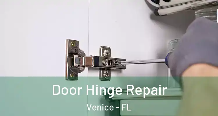 Door Hinge Repair Venice - FL