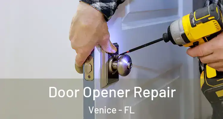 Door Opener Repair Venice - FL