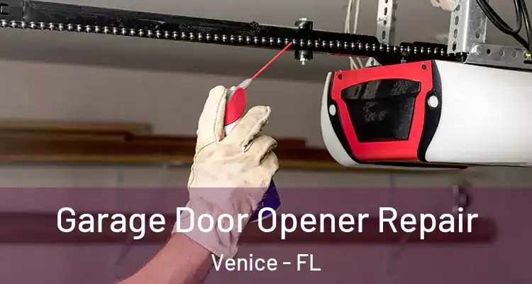 Garage Door Opener Repair Venice - FL