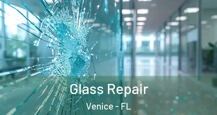 Glass Repair Venice - FL