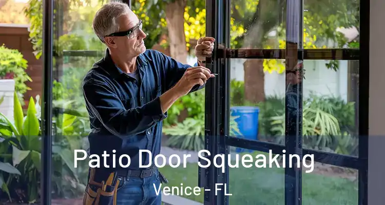 Patio Door Squeaking Venice - FL